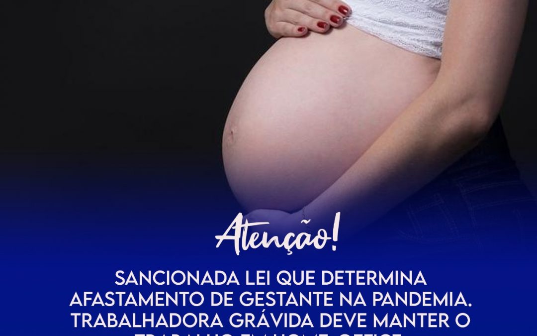Lei que garante afastamento de gestantes de trabalho presencial é sancionada